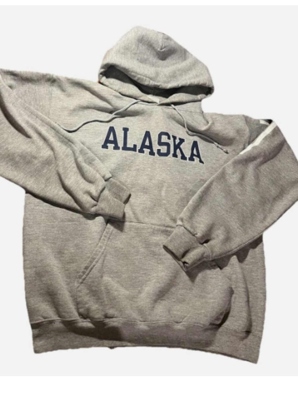 Champion Alaska Hoodie Mens Medium Gray Spellout Pullover